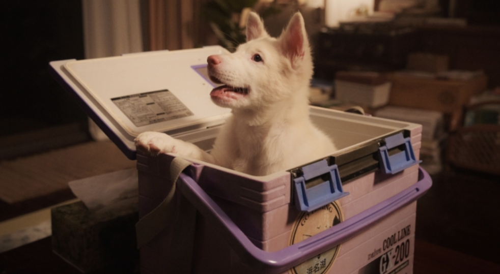 Screenshot 2569-04-17 at 12.43.49.png